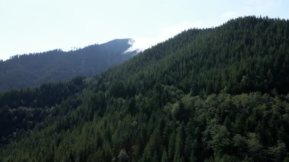 Rising up revealing an evergreen covered mountain ridge, Advection fog slowly creeps, aerial