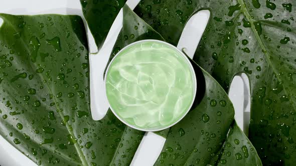 Green Cosmetic Cream with Rotation on Background of Tropical Leaves Monstera