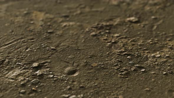 Closeup of Dirty Ground Road