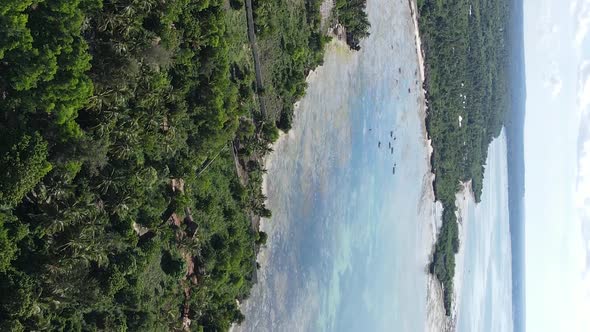 Vertical Video of the Ocean Near the Coast of Zanzibar Tanzania Aerial View