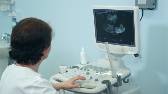 Female Doctor Working at Modern Ultrasound Equipment