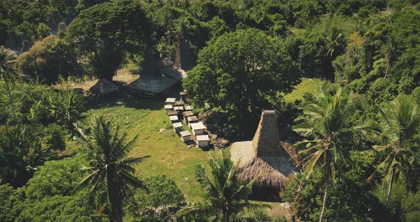 Traditional Village with Ornately Carved Roofs Houses of Village at Tropical Green Palm Trees