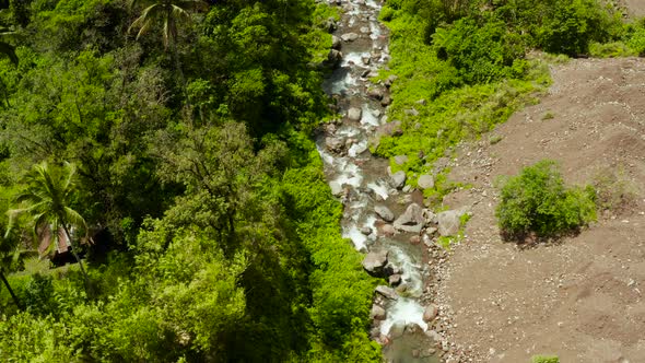 River Flowing in the Mountain Jungle, Philippines, Camiguin.