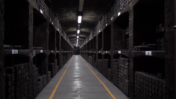 Bottles of Wine Aging in an Underground Cellar