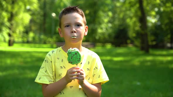 The boy eats delicious ice cream in the park among the big green trees in the background