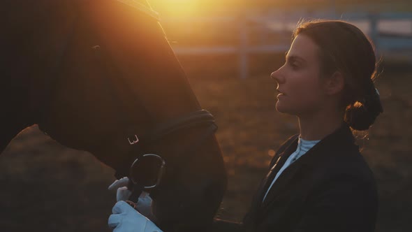 Horsewoman Expressing Her Love For Her Dark Bay Horse  Love For Horses Sunset