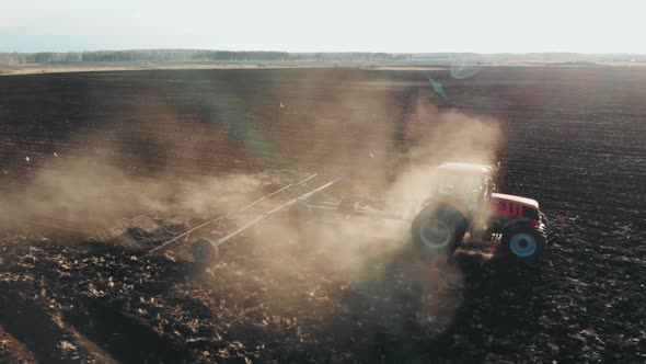 The Tractor Plows the Field in Sunset, Raising Dust, and Behind It Fly Birds. Aerial View