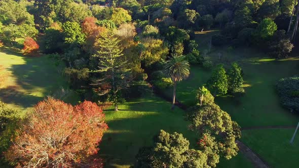 Aerial view of parkland