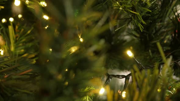 Christmas warm color decorative light shallow DOF 4K 2160p UHD footage - Fairy lights sparkling on t