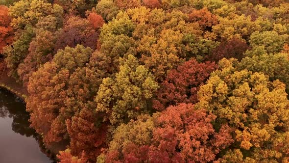 Autumn season lush forest Salem Illinois usa aerial