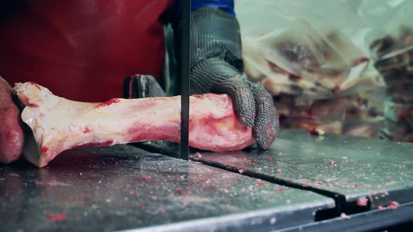 Factory Worker Is Cutting Meat Bones with a Machine