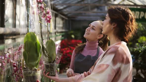 Young Smiling Female Florist in Apron Helping a Female Customer to Choose a Flowerpot with Orchid