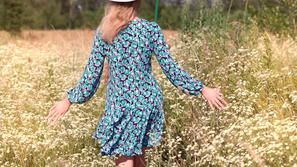 Chamomile Flowers Field. Girl Walking On Meadow. Wildflower Field. Hand Touching Flowers And Grass