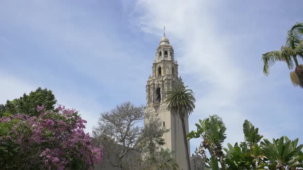 California Tower and tree branches