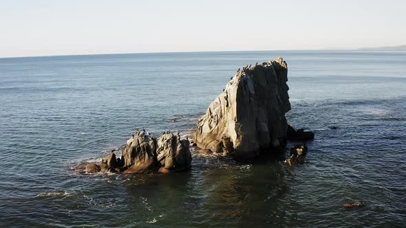 A Flock of Cormorants Resting on a Rock in the Sea of Japan