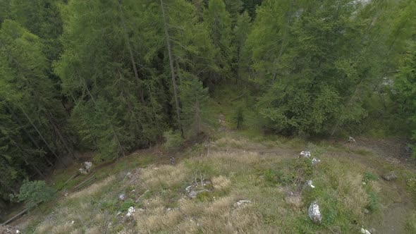 Aerial Pulling Back from Young Woman Walking in Forest and Revealing Italian Dolomites in the Backgr
