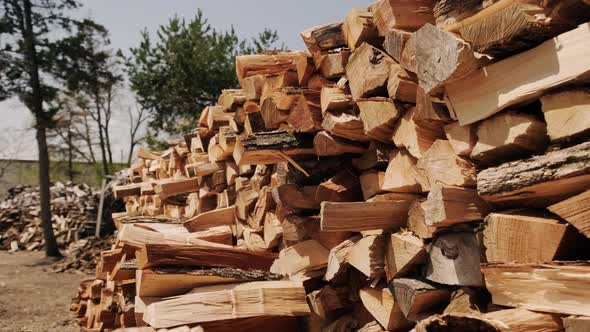 Stack of Chopped Firewood Raw Barked Wood Logs in a Storage