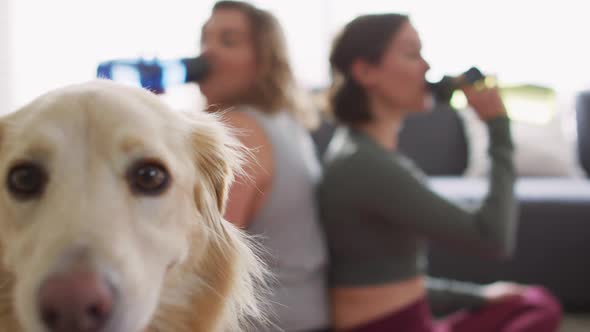 Caucasian lesbian couple keeping fit and resting with dog