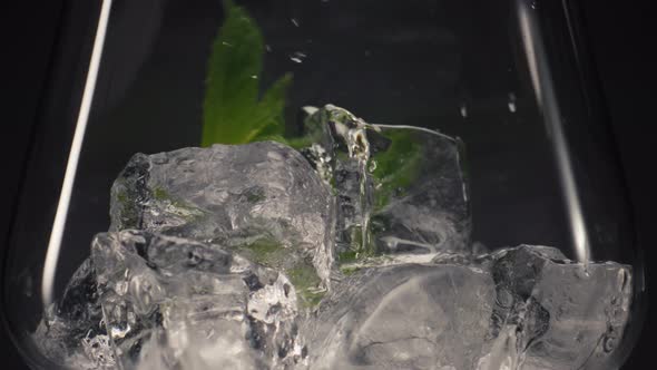 Mint Garnish Ice Cocktail Close Up
