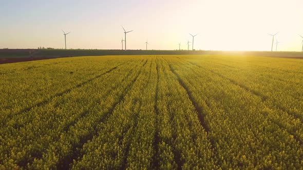 Wind Turbine Farm on Beautiful Evening Landscape. Renewable Energy Production for Green Ecological