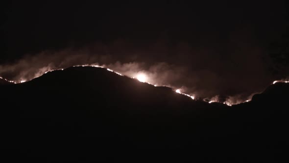 Forest Fire on hillside night