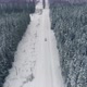 Car White Van Driving on Snowy Road in Forest in Winter Aerial View Drone Shot - VideoHive Item for Sale
