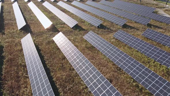 Solar Panels Farm in the Field