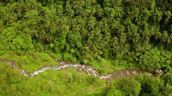 River Flowing in the Mountain Jungle, Philippines, Camiguin