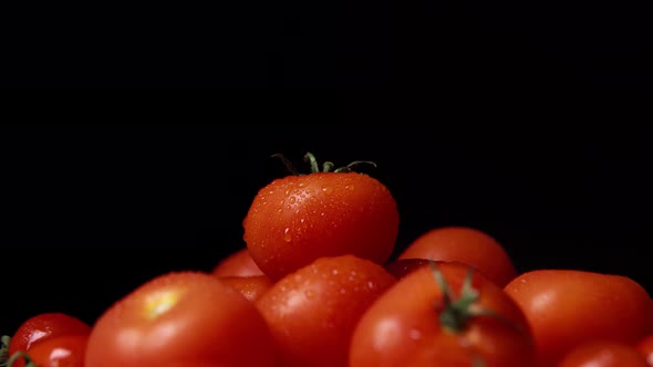 Bunch of Washed Fresh Red Tomatoes with Little Water Drops