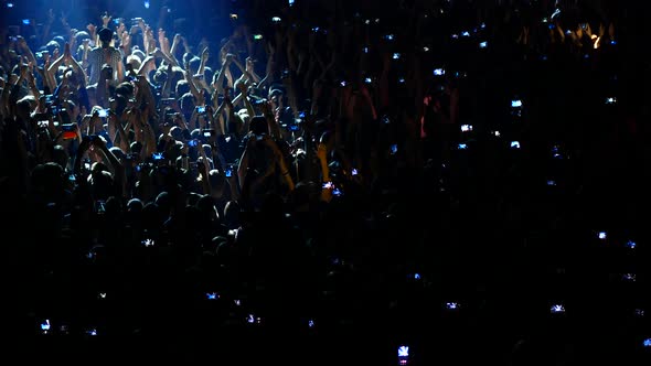 Joyful Crowd Enjoys Listening Famous Group Rock Concert