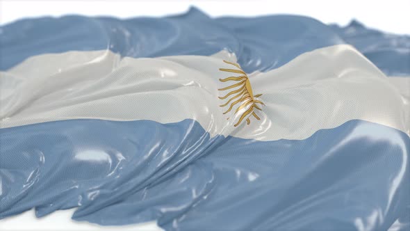 Argentina Flag On A White Chalkboard 