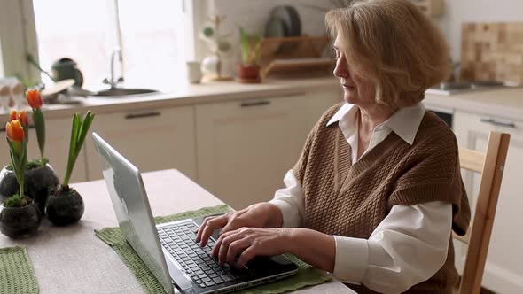 Cheerful Senior Woman Checking Information on Laptop Online Video Call to Children or Friends Busy