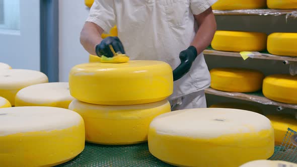 Cheese Production. The Worker Covers the Cheese with Wax. Cheese Factory