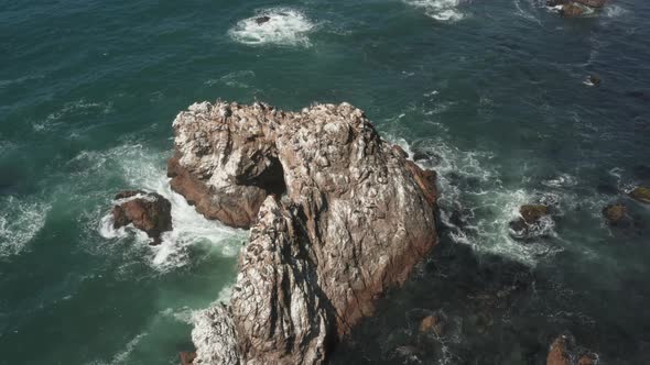 Birds sitting on Arched Rock on the ocean with waves crashing near the Beach Bodega Bay Highway 1 in