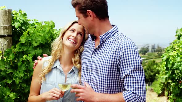 Romantic couple having wine in vineyard