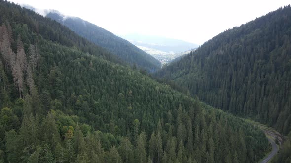 Aerial View of the Carpathian Mountains in Autumn. Ukraine