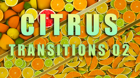 Citrus Transition 02