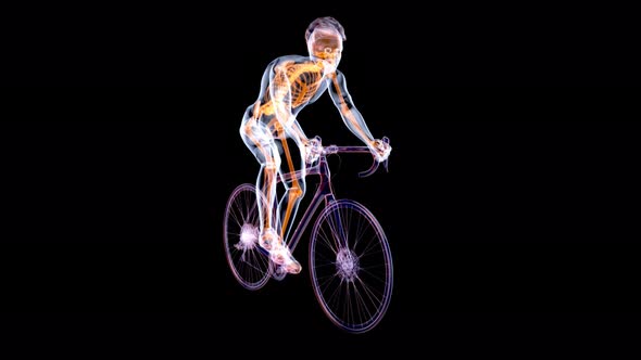 Xray cyclist