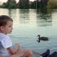 Mother and Child in Medical Masks Feed Ducks on the Lake - VideoHive Item for Sale