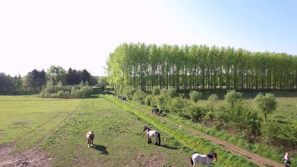 walking in nature