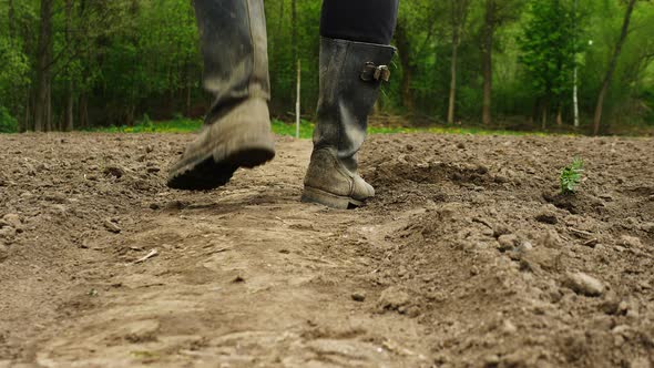 Farmer Knocks Black Soil. Legs In Boots On Black Soil. Agriculture. Language Of The Body