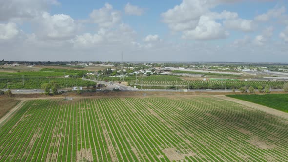 Green Fields Aerial Shot At Sdot Negev Settlement's, Israel
