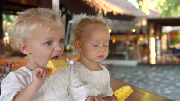 Twin Sisters Enjoying Healthy Organic Dessert of Piece of Fresh Pineapple on a Stick