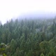 Beautiful Mist Over the Trees in the Mountains - VideoHive Item for Sale