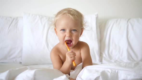 Little Cheerful Caucasian Toddler Girl Sitting in the White Bed Brushing Her Teeth