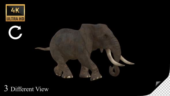 Elephant Run Pack  alt