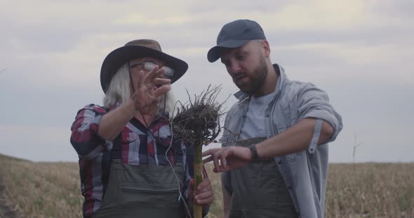 Farmers Arguing in Agricultural Field