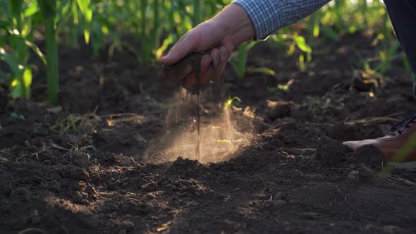 Close Up Farmer or Agronomist Examine Quality of Soil