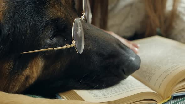 A Woman and a Dog in Glasses are Resting on the Bed at Home