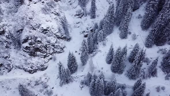 A Group of People Walk Through a Snowy Gorge